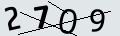 verifycode